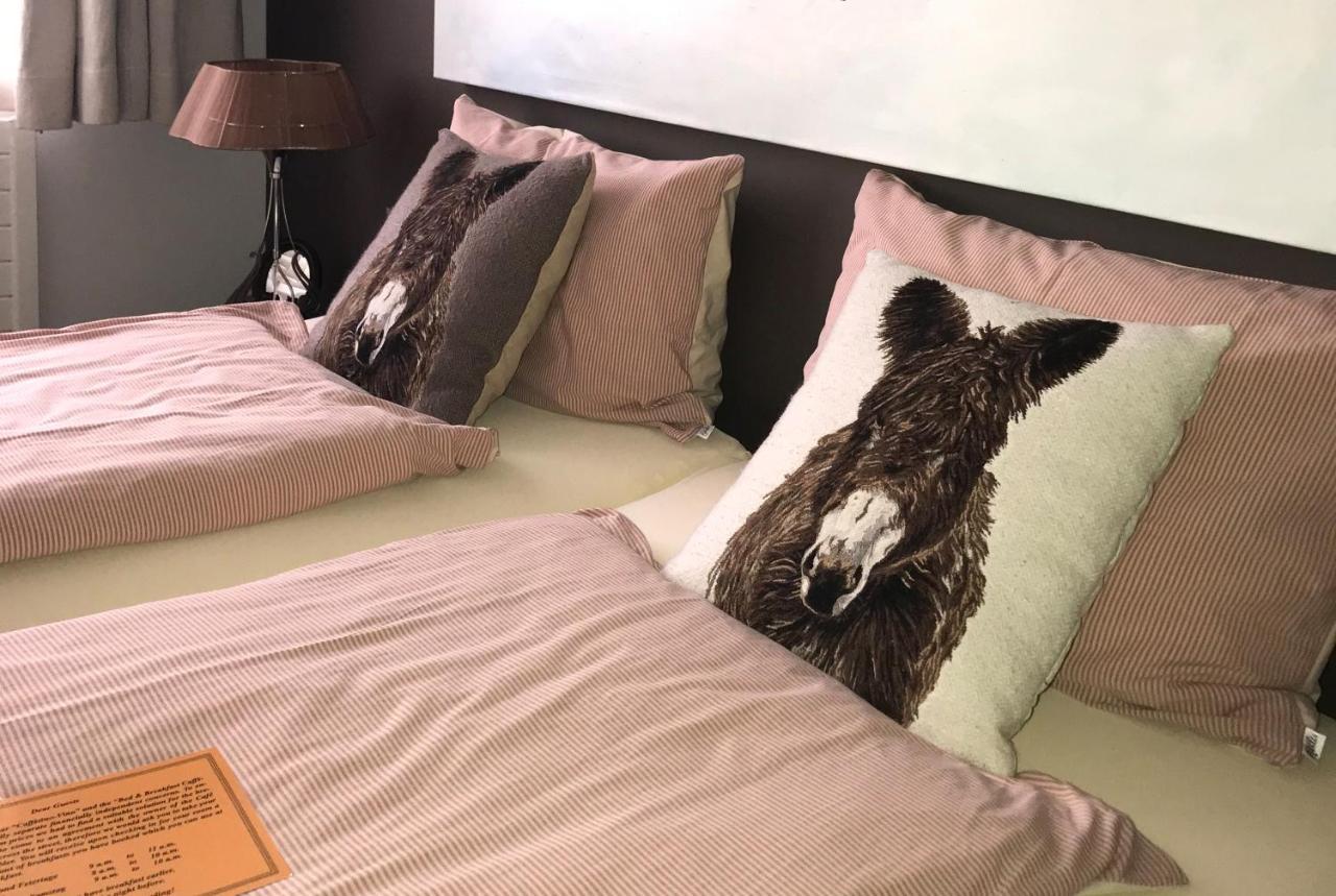 Richterswil B&B Caffetino-Vino المظهر الخارجي الصورة
